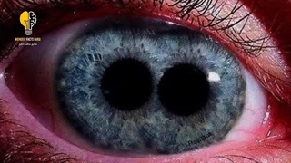 حقایق و دانستنی های عجیب و غریب بدن شما: از چشم دو مردمکی تا قویترین ماده بدن شما؟!