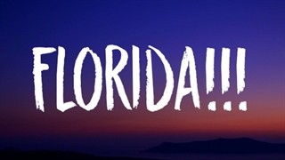 آهنگ جدید Florida فلوریدا ازTaylor Swiftتیلور سویفت