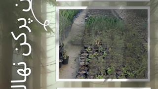 کیسه کن خاک و بستر کشت