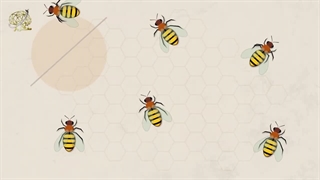 زندگی زنبور عسل و دموکراسی عجیبی که در دسته زنبورها وجود دارد!