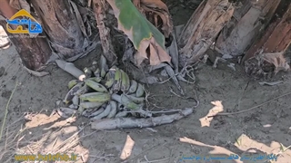 امام جمعه موقت زرآباد: استان های کشور ماشین الات را به سمت زرآباد گسیل کند