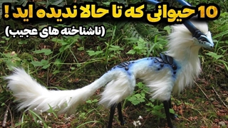 حیواناتی عجیب و ناشناخته که از آن بی‌خبرید !