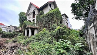 تمیزکاری! ویلایی پر از چمن توسط کارشناسان تمیز و بازسازی شده | دگرگونی زیاد