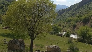 دشت خرس الان،چشمه شاه قلی بسطام