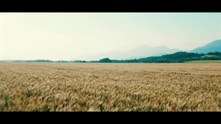 Lights & Motion - Wolves (feat. Johan Hasselblom)