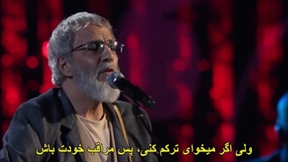 The Wild World _ Cat Stevence زیرنویس فارسی