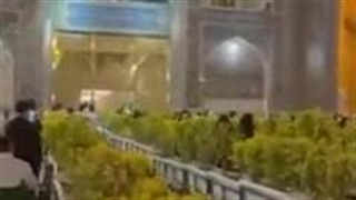 امام رضا علیه السلام به صاحب هتل: امروز سگی بهت مراجعه میکند، پذیرای او باش!