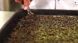 پخت سبزی قورمه سبزی با فر بروج