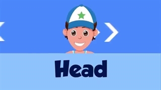 Parts of the Body Song