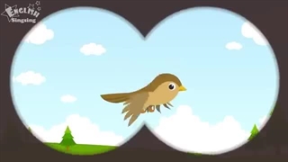 Kids vocabulary - Five Senses - Learn English for kids - English educational video