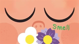 Five Senses - The Kiboomers Kids Learning Songs For Circle Time - Body Parts Song