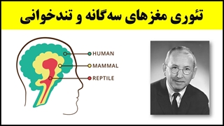 آموزش تندخوانی (19) : تئوری مغزهای سه‌گانه و نقش آن در تندخوانی و یادگیری