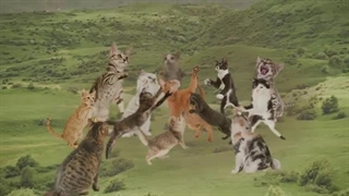 حمله به تایتان گربه ای _ قسمت 7