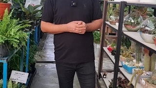 نحوه نگهداری گیاهان در تابستان