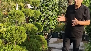 نکات مهم برای آبیاری گیاهان فضای باز