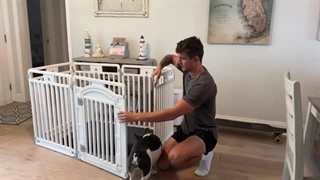 انواع قفس و پارک سگ استیل یا برزنتی