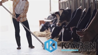 بنتونیت خوراک دام