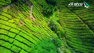 جاذبه های مالزی؛ تجربه ای فراموش نشدنی در قلب طبیعت بکر!