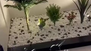 فضای رویایی و دلنشین