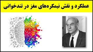 آموزش تندخوانی (20) : عملکرد و تقویت نیمکره‌های مغز و نقش آن در مطالعه و تندخوانی