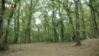 دانلود سریال صلاح الدین ایوبی قسمت 22 با زیرنویس فارسی در ‌‌‌‌‌‌کانال تلگرام ما/لینک کانال پایین داخل توضیحات