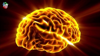 دانستنی های بیماری ام اس