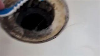 متخصص و ماهر تا تجهیزات پیشرفته