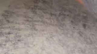 نظافت منزل برای ما بیش از یک کار