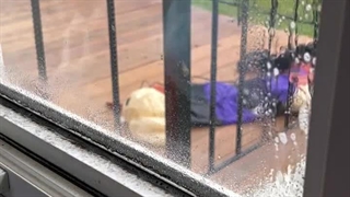 بهترین خدمات را در زمینه نظافت منزل