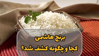 برنج هاشمی چگونه کشف شد؟ چه کسی آن را کشف کرد؟