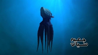 چهار(4) تصویر ضبط شده از هیولاهای وحشتناک زیر اقیانوسها