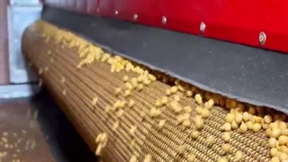 خط تولید سویا با دستگاه تفت زن نواری اسوه 09138900047