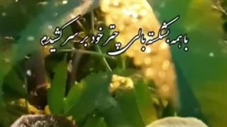 سرنوشت، خصوصی مازیار و استاد فضل اله توکل دهه ۶۰ رفع غبغب