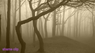 داستان ترسناک پیدایش و سایه های مرموز قسمت ششم _ حکایت ماورایی