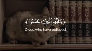 #ویدیو قرانی