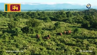 "کاوش در زیبایی‌های گم‌شده: سریلانکا به عنوان مقصدی برای اکتشاف و سفر" 