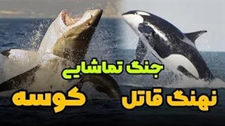 برنده مبارزه بین دو هیولای اقیانوسها کیه؟