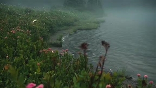 ویدیو خام برای ادیت