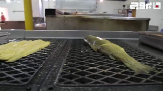 فر بروج در پالایشگاه گاز ایلام