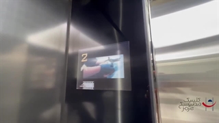 متخصص ایمپلنت در بندرعباس دکتر محمدرضا سعادتی