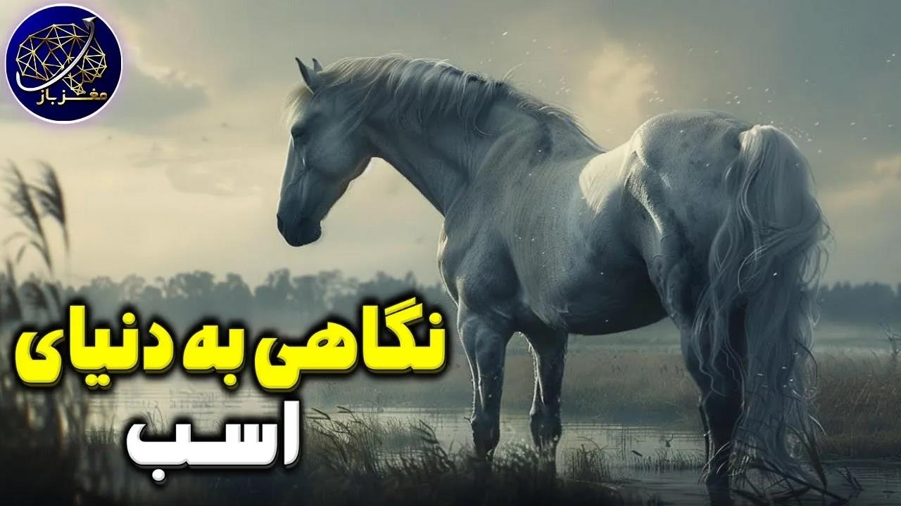 نگاهی به دنیای اسب ها و رابطه اسب ها با انسان ها - نماشا