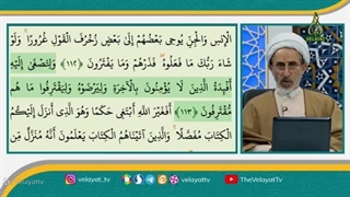 پاسخ کوتاه استاد رستم نژاد به شبهه عبدالعلی بازرگان گه میگه در حجاب اجبار نیست! پیلینگ
