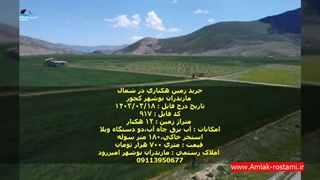 خرید زمین هکتاری در شمال