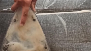 مبل شویی در منزل/۰۹۱۲۷۰۹۱۷۸۹ /مبل شویی جاوید