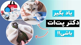 نحوه کمک به حیوون خونگیت در موراد اورژانسی!