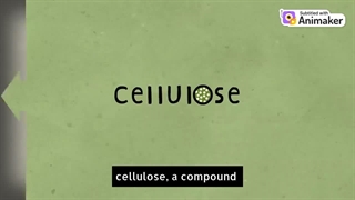 مختصری از تاریخچه پلاستیک ها (پلیمرها)