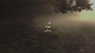 هوژینم!