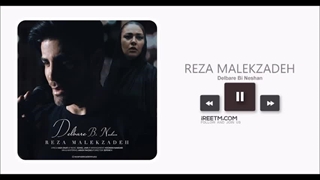 رضا ملک زاده دلبر بی نشان