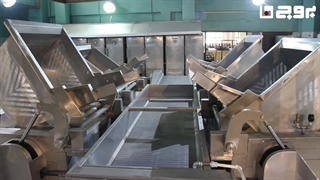 بروج در دانشگاه فردوسی مشهد