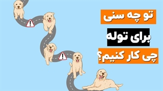 نگهداری از توله سگ از 2 ماهگی تا 1 سالگی چه شکلیه؟